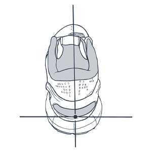 centered-footstrike_300-x-300