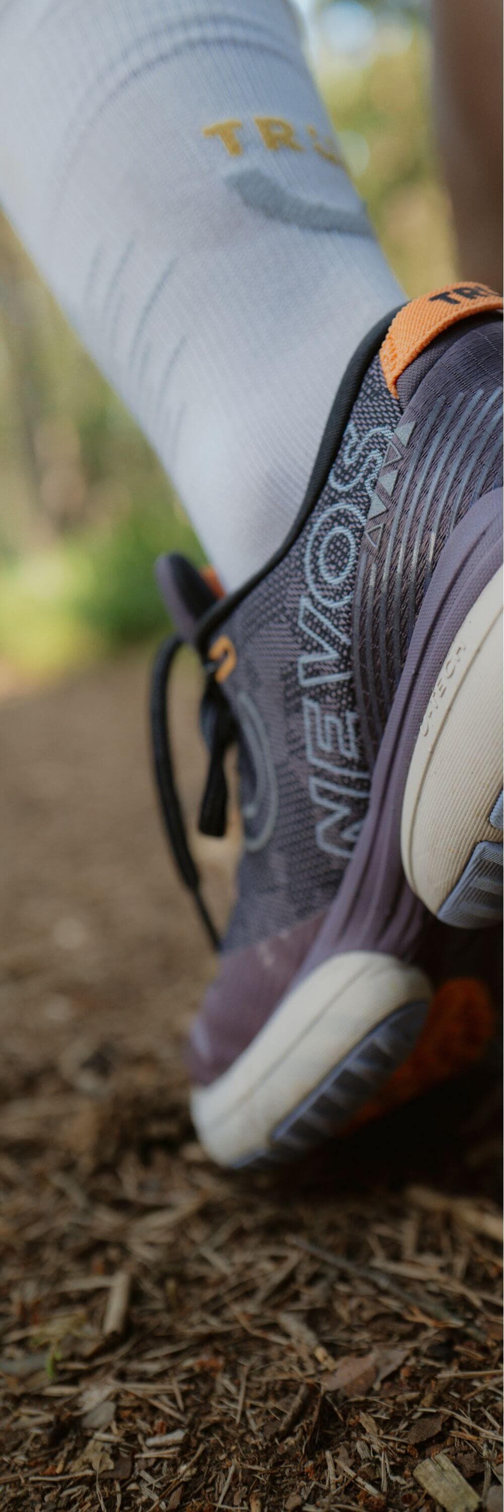 landingpage-nevos-elements-3-mood-half-03