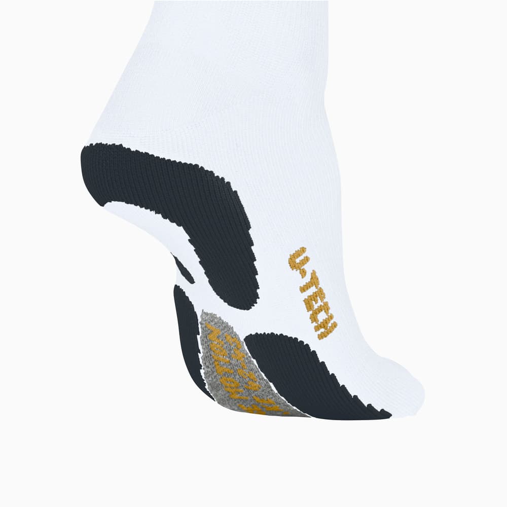 45_6fcbf2d061-falke-ru-true-motion_m_short_03_04-full